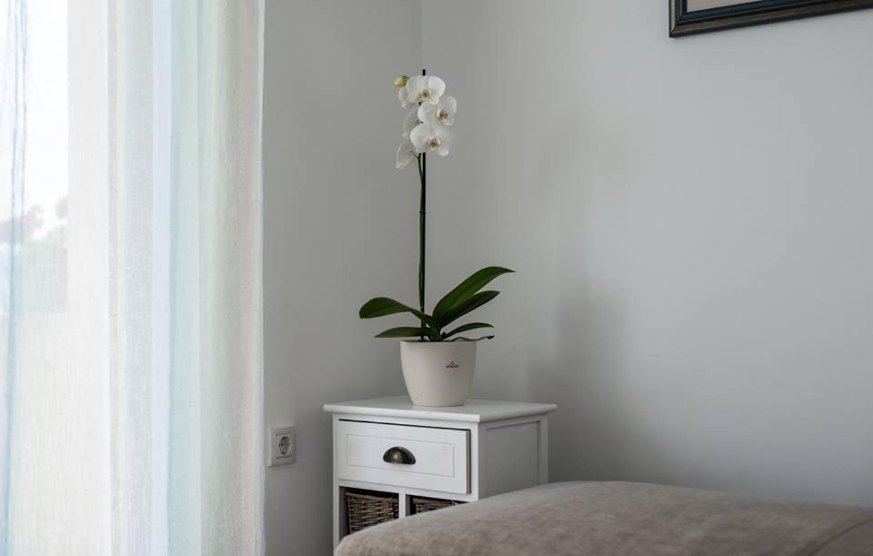 Apartments Dora Вантачичи Екстериор снимка